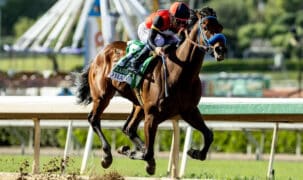 A bay horse winning a race at Santa Anita.