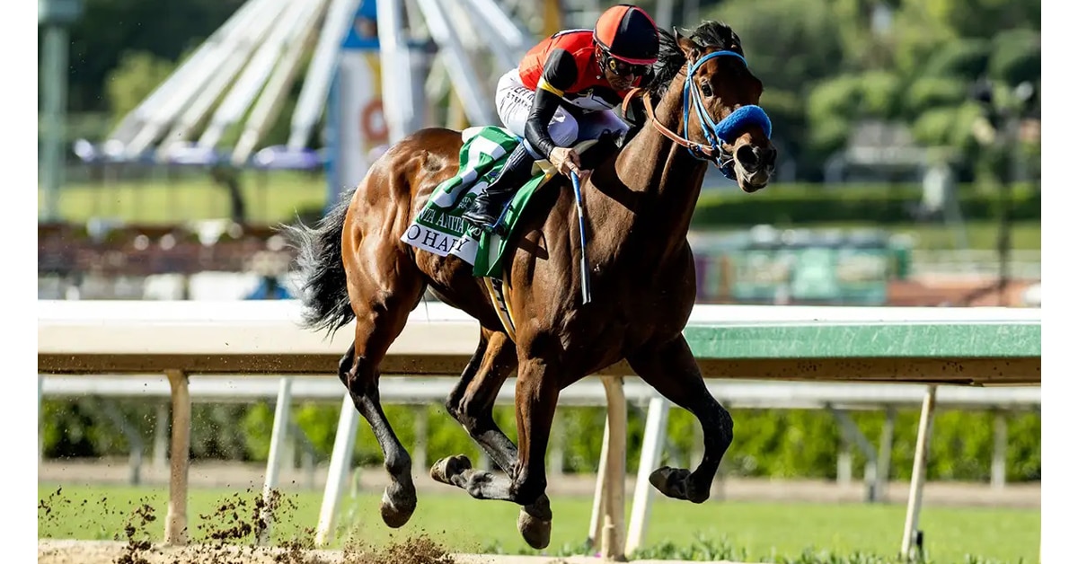A bay horse winning a race at Santa Anita.
