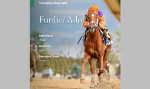 A poster of a chestnut horse winning a race.