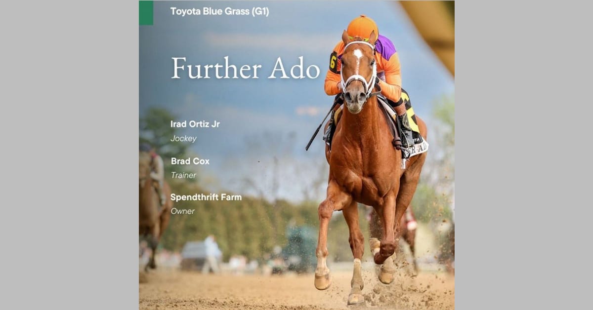 A poster of a chestnut horse winning a race.