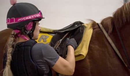 A woman saddling a racehorse.