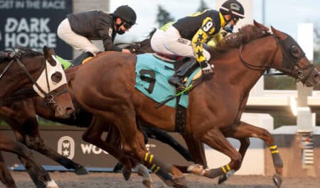 A chestnut horse winning a race at Woodbine.