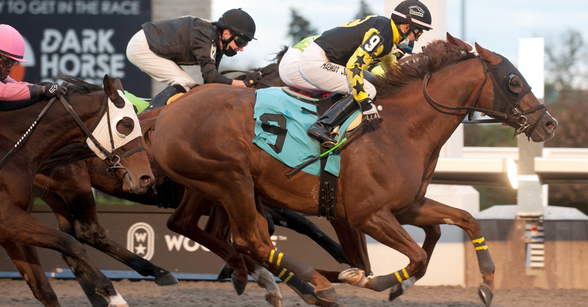 A chestnut horse winning a race at Woodbine.