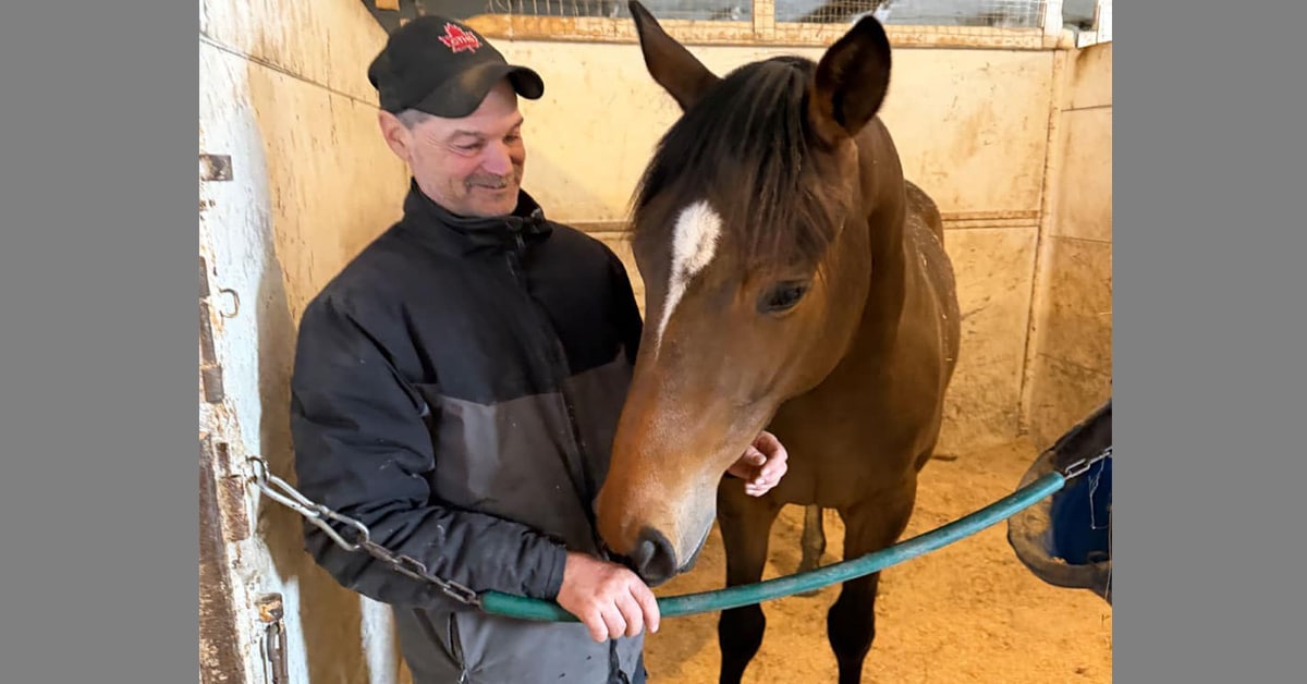 A man in a stall with a bay racehorse.