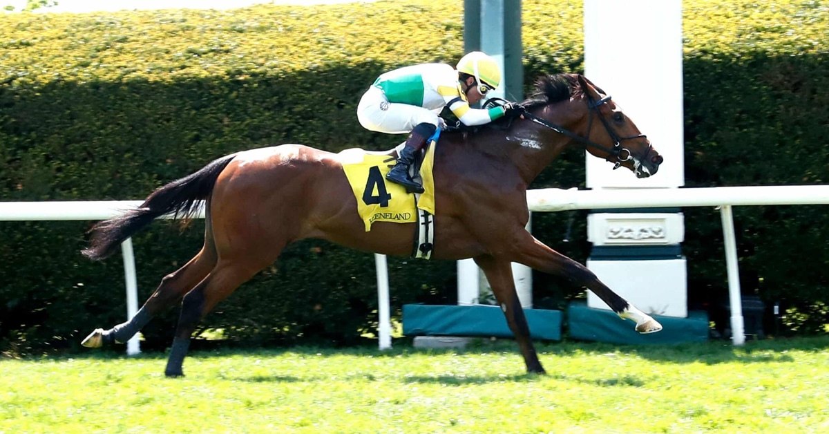 A bay horse winning a race on the turf.