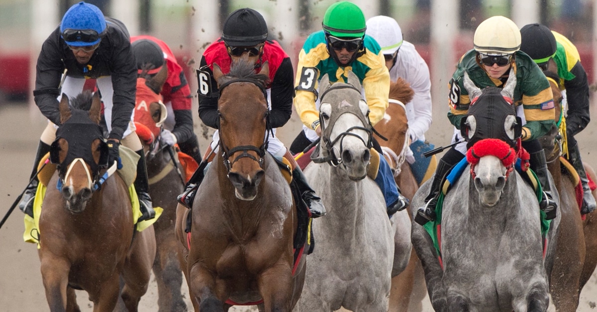 A head-on shot of horses racing at Woodbine.