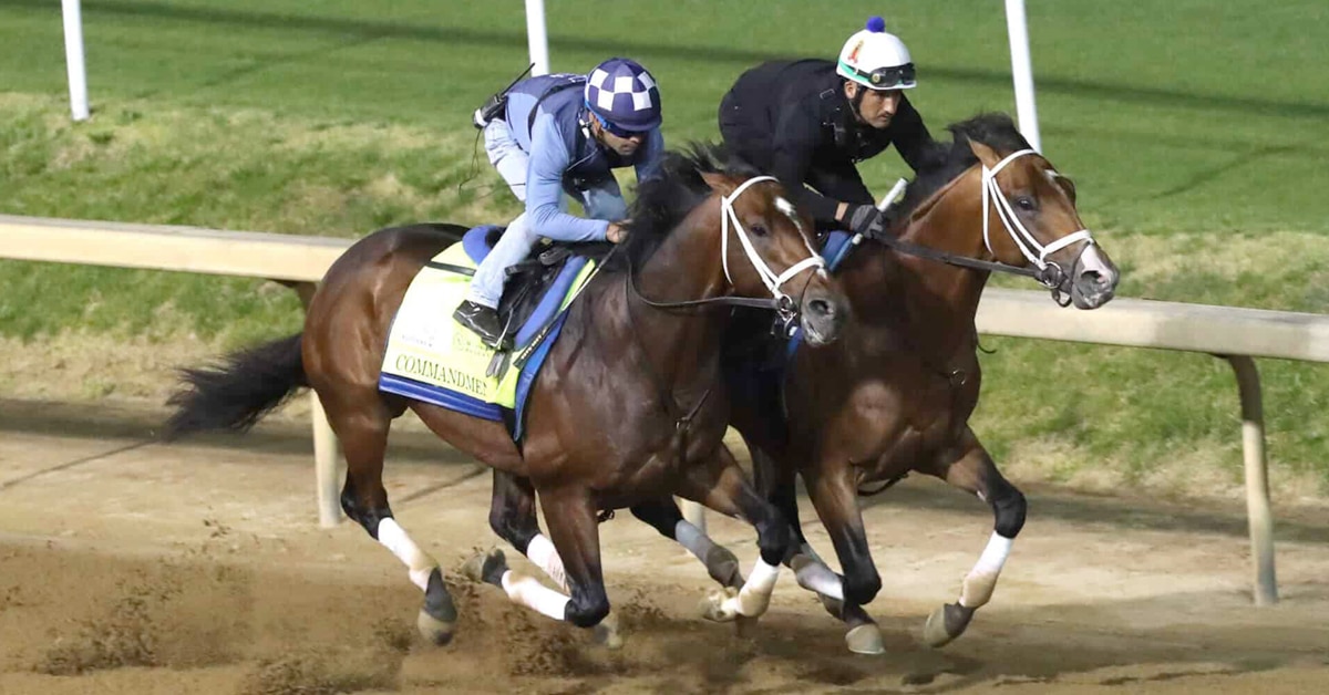 Two by horses working at Churchill Downs.