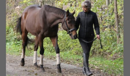 A woman leading a bay horse down a trail.