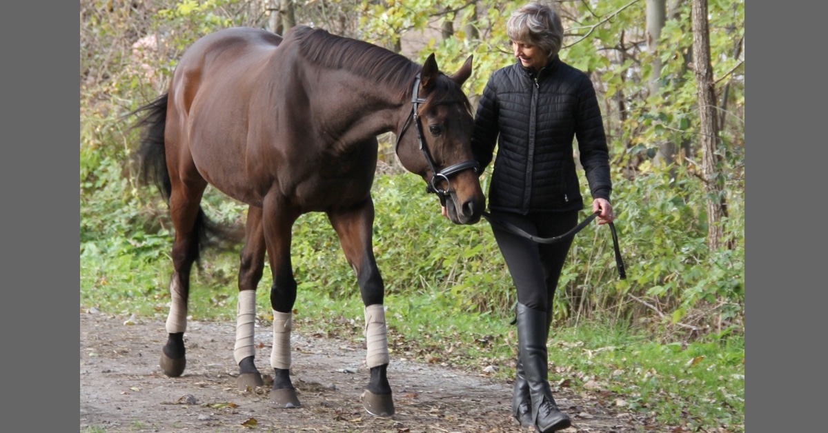 A woman leading a bay horse down a trail.