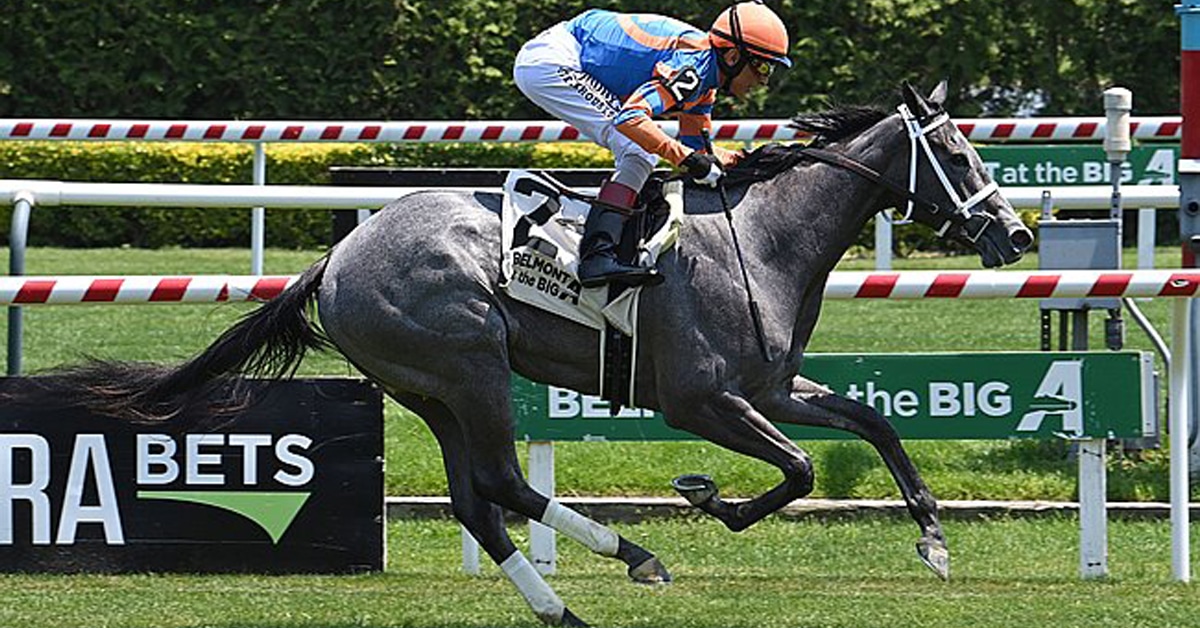 A jockey winning a race on a grey horse.
