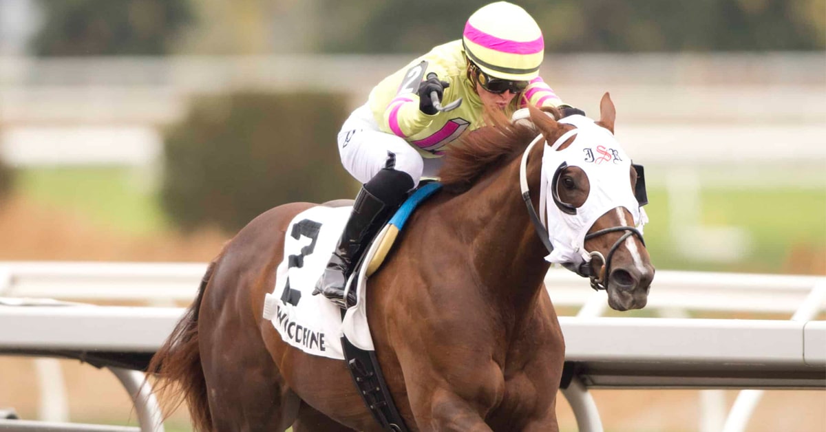 A chestnut horse winning a race at Woodbine.