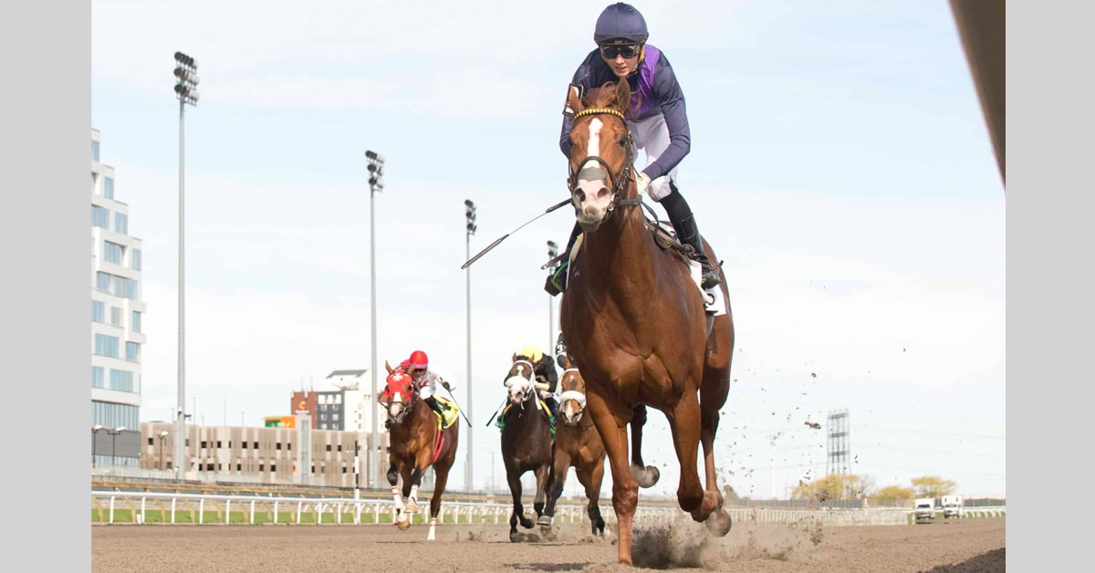 Head-on shot of horses racing at Woodbine.