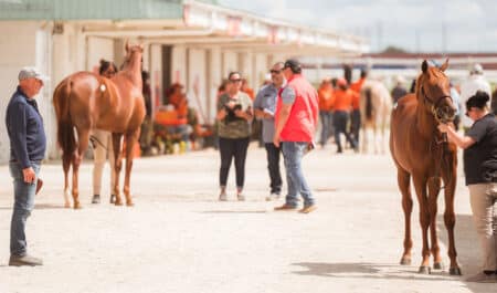 A group of buyers and sellers at at Thoroughbred sale.