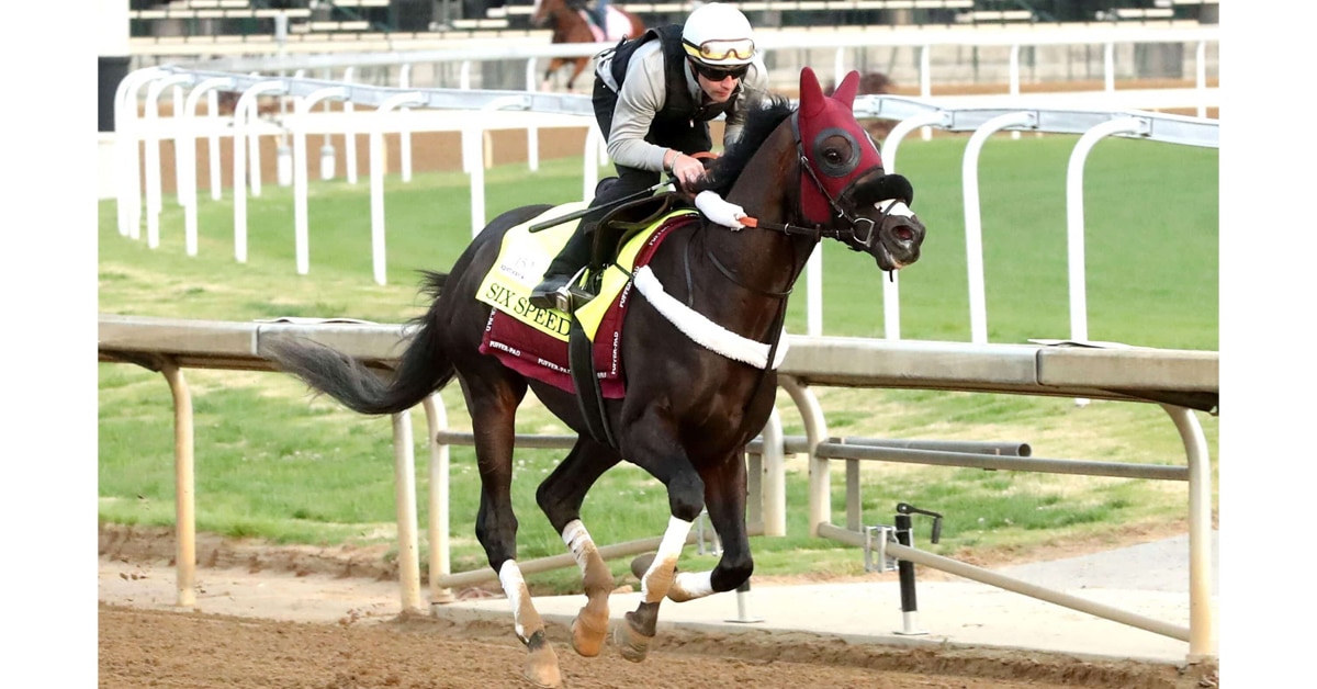 A dark bay horse getting a workout at Churchill Downs.