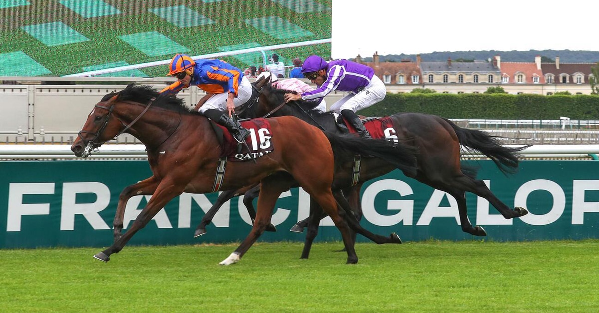 Horses racing in France.