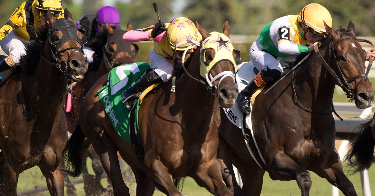Horses racing at Woodbine.