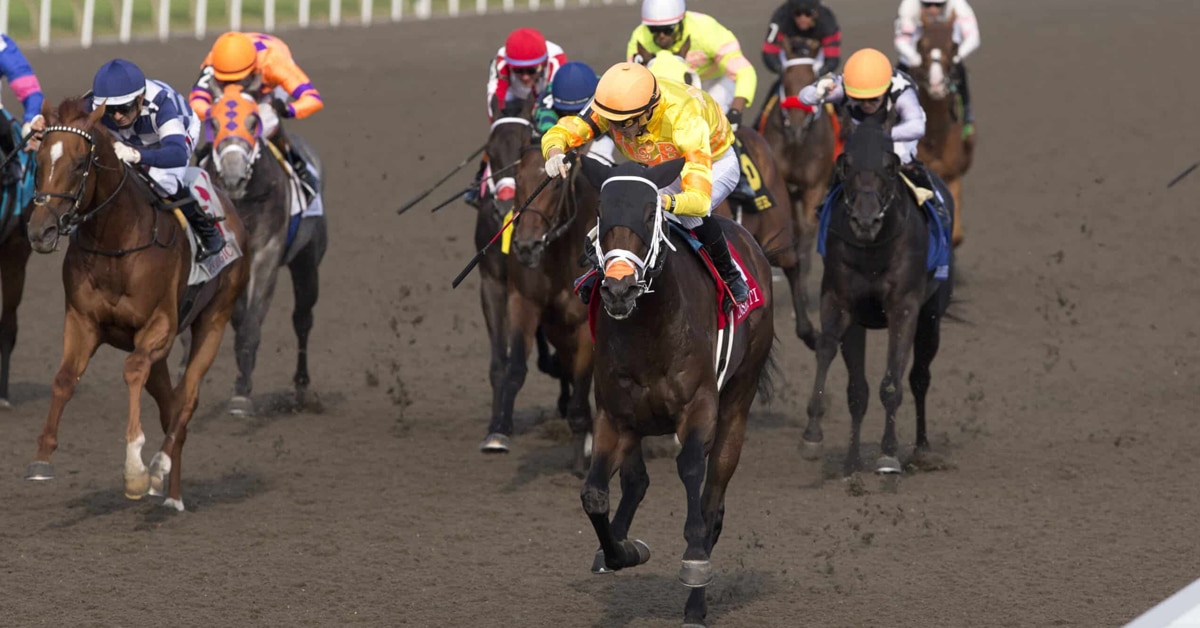 Horses racing at Woodbine.