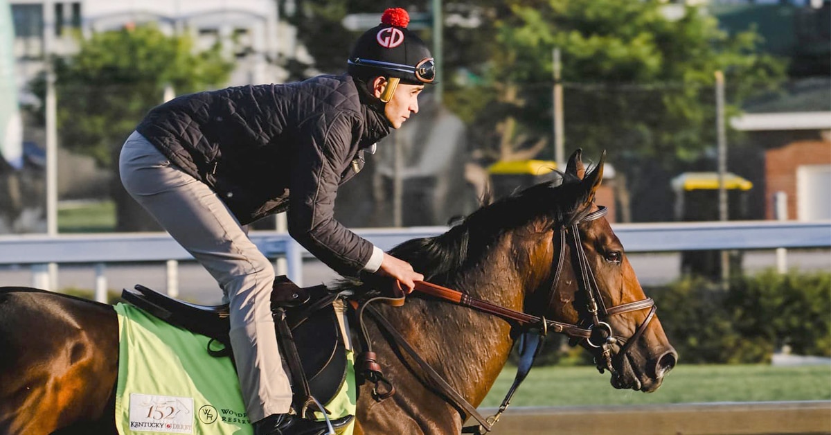 A bay horse being exercised at Churchill Downs.