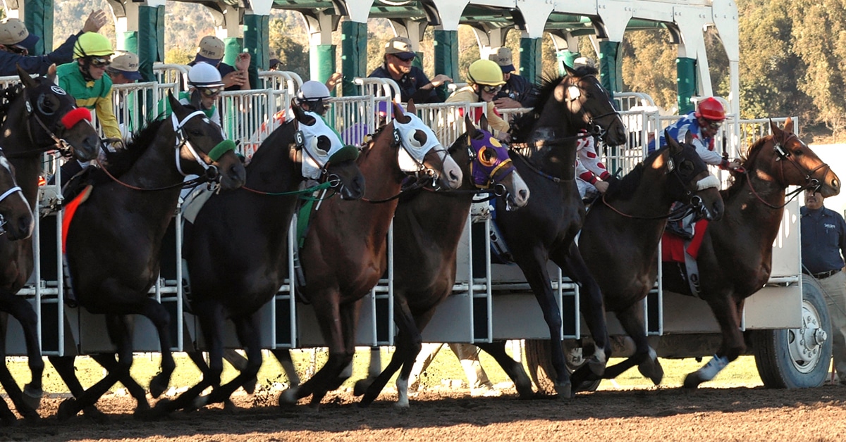 Horses leaving the gate at a racetrack.