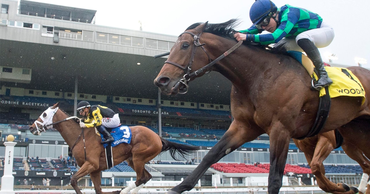 Horse reaching the finish line at Woodbine.