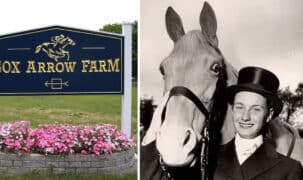A farm sign, and old photo of a woman and grey horse.