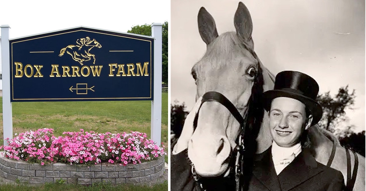A farm sign, and old photo of a woman and grey horse.