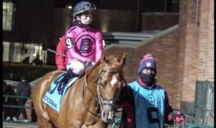 A man leading a chestnut colt with a jockey on board.