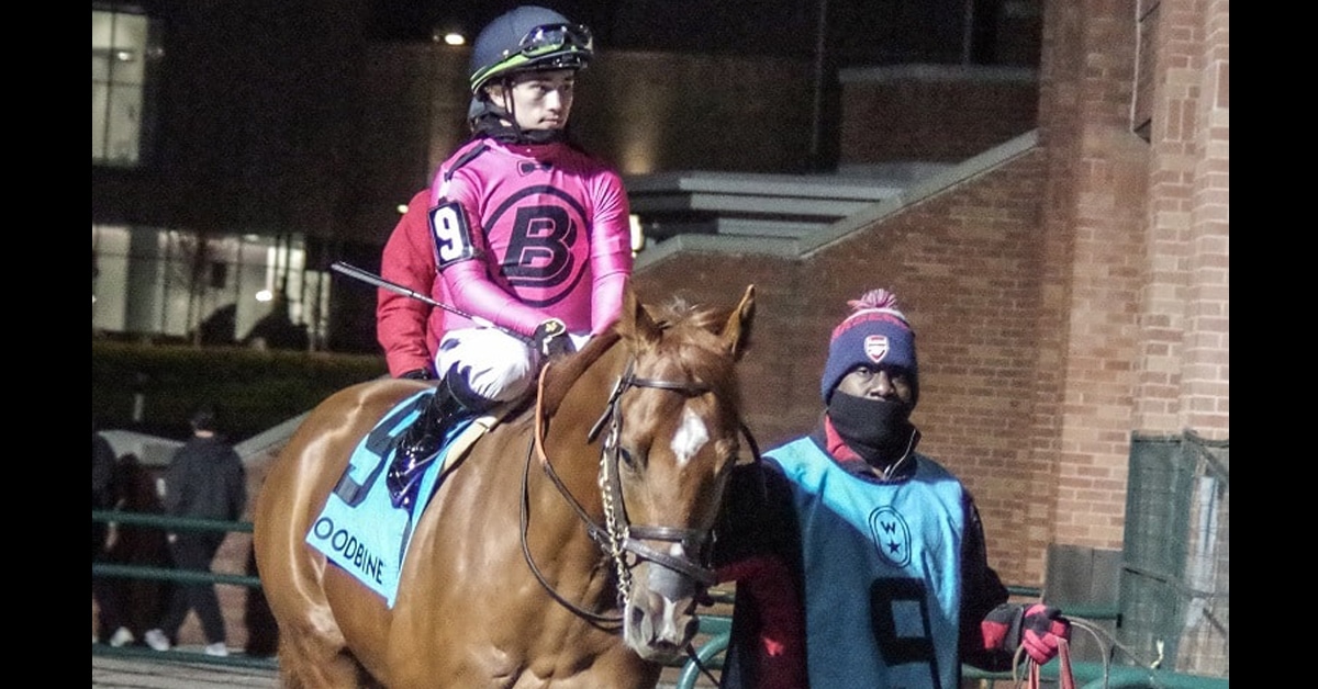 A man leading a chestnut colt with a jockey on board.