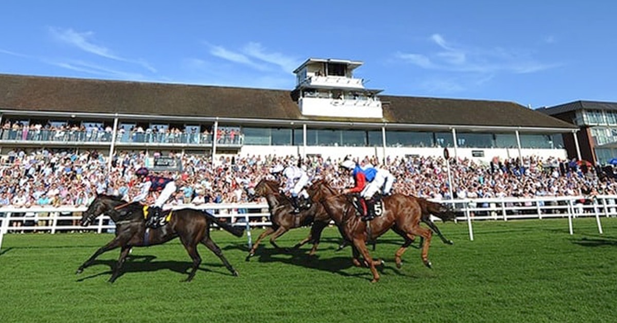 Horses racing on the turf in England.