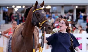 A smiling woman leading a racehorse away from the track.