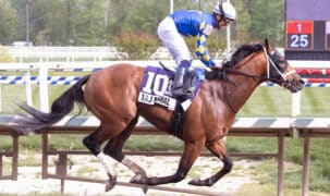 A bay horse racing at Laurel Park.
