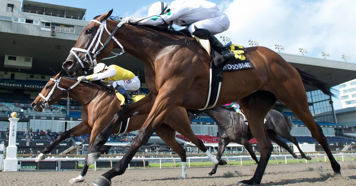 Two horses racing to the finish line.