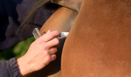A rectal digital thermometer being inserted.