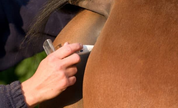 A rectal digital thermometer being inserted.