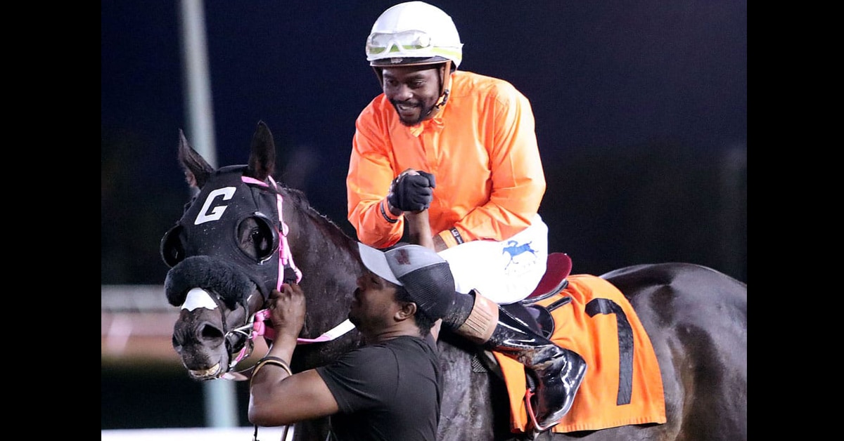 A smiling jockey on a dark bay horse.
