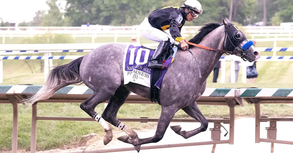 A grey horse winning a race at Laurel Park.