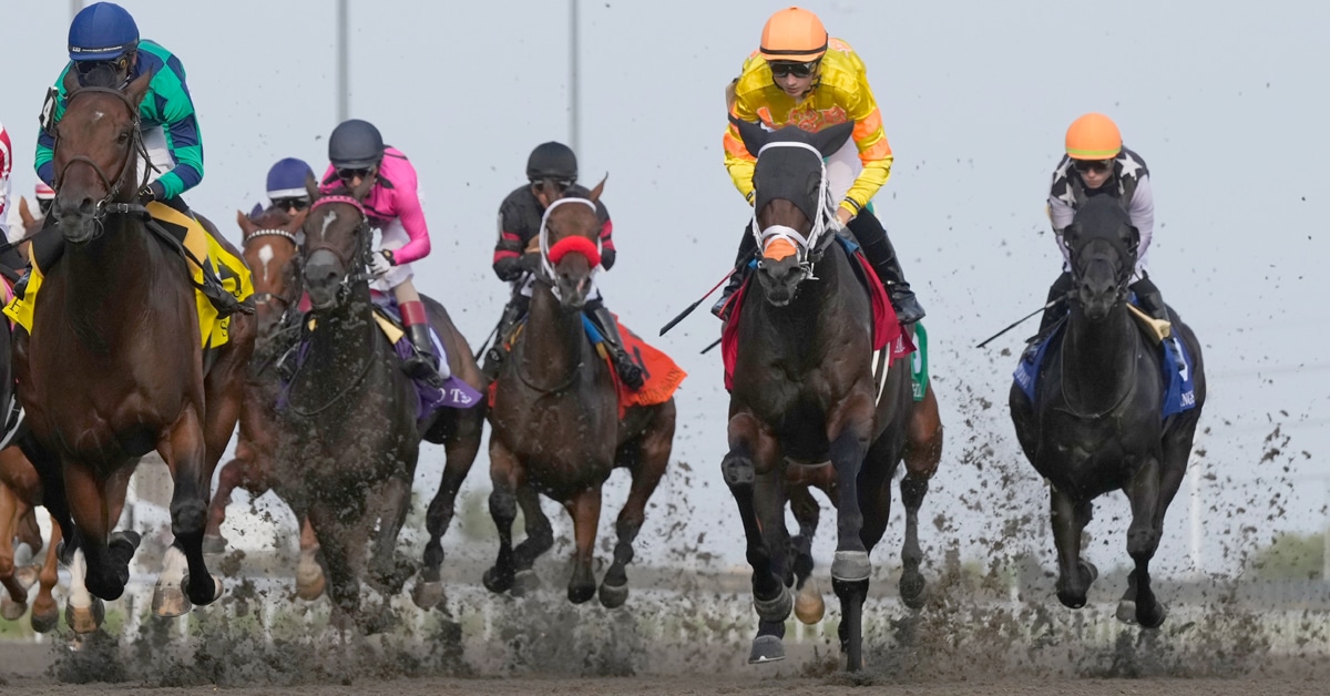 Head-on shot of horses racing at Woodbine.