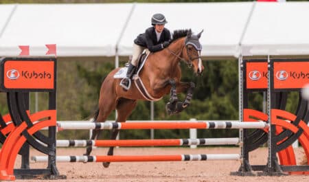 A bay horse jumping a fence at a show.