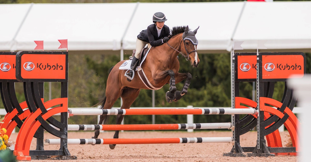 A bay horse jumping a fence at a show.
