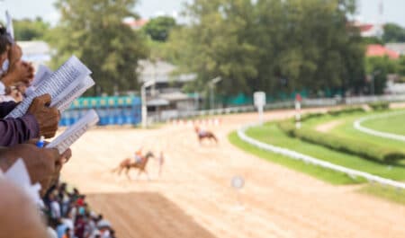 Racing fans at the track.
