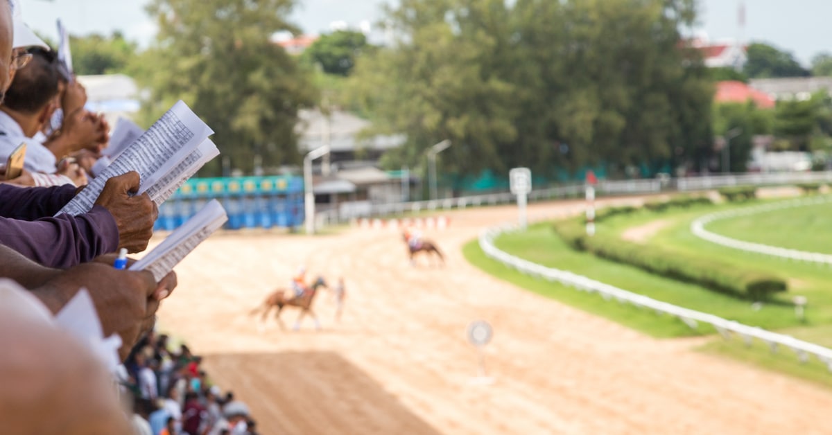 Racing fans at the track.