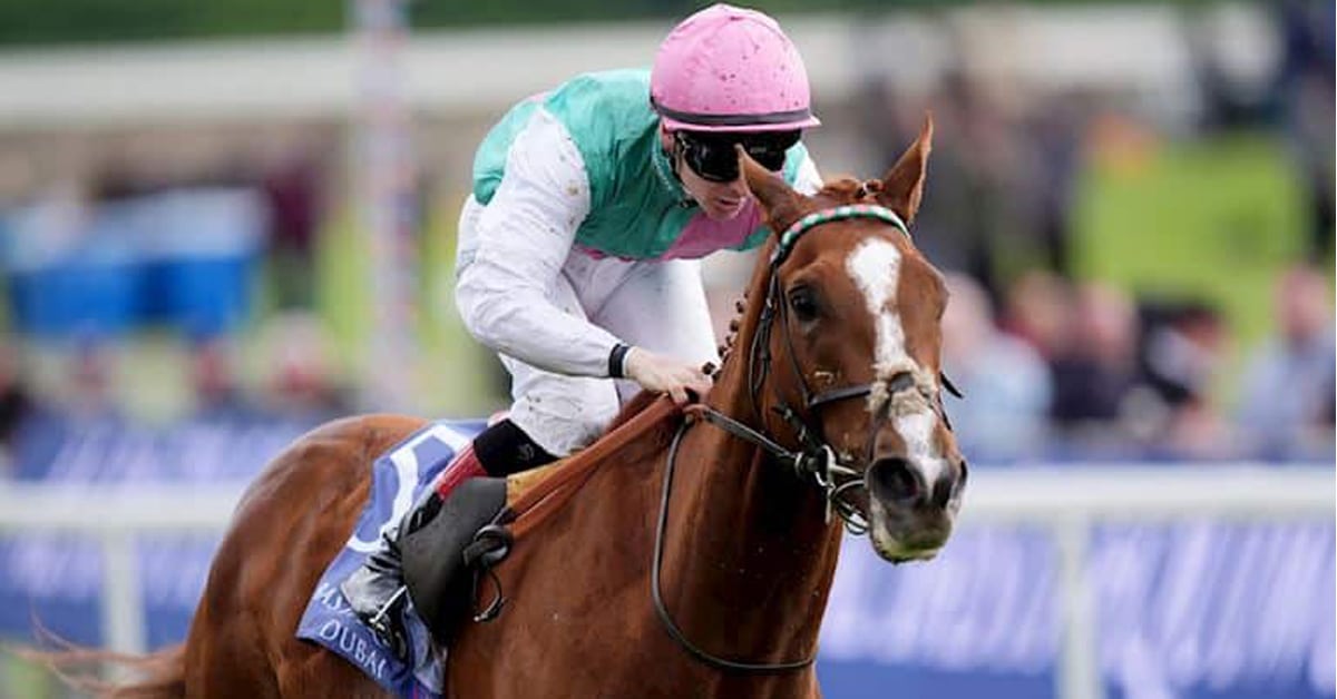 A chestnut horse winning a race in Europe.