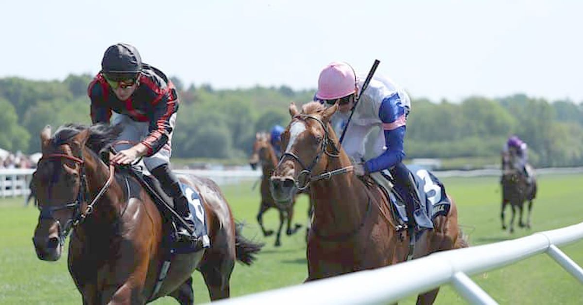 Horses racing on the grass at Epsom Downs.
