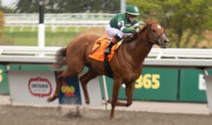 A chestnut horse winning a race at Woodbine.
