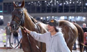 A woman leading a bay horse at the racetrack.