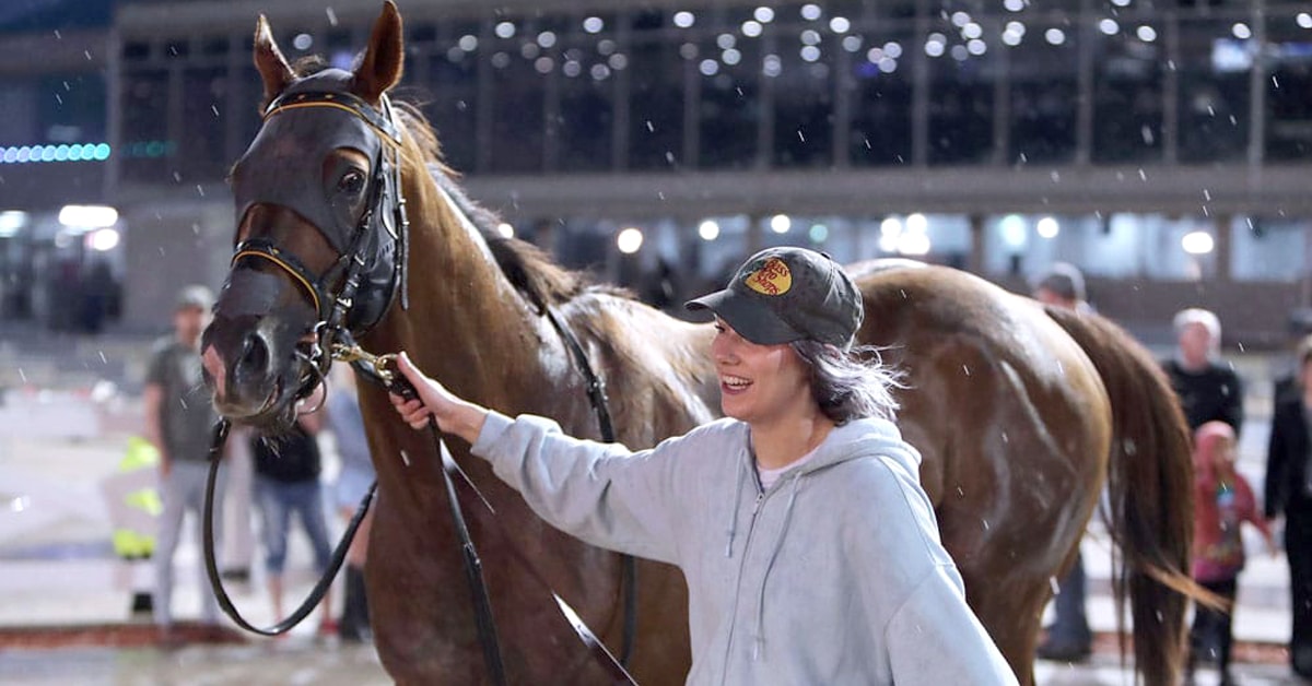 A woman leading a bay horse at the racetrack.