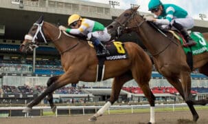 Horses racing to the wire at Woodbine.