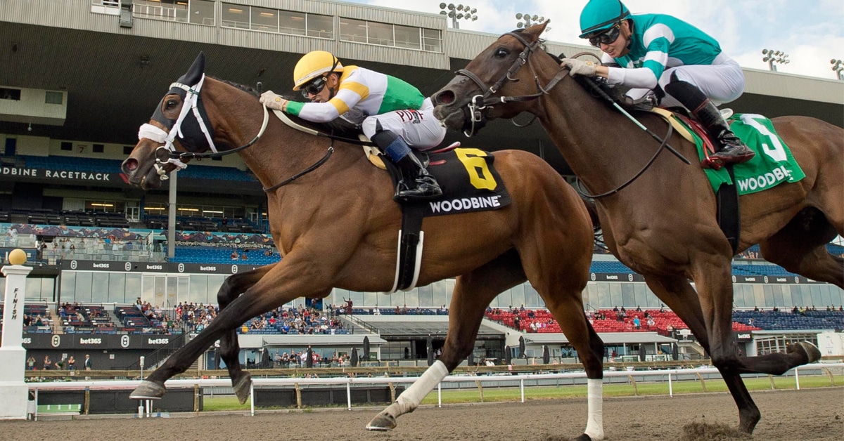 Horses racing to the wire at Woodbine.