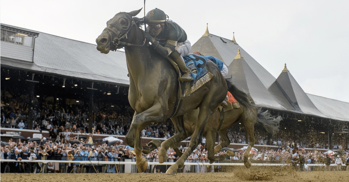 A bay horse winning a race in New York.