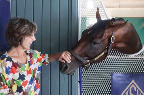 A woman smiling and petting a bay thoroughbred stallion in its stall.